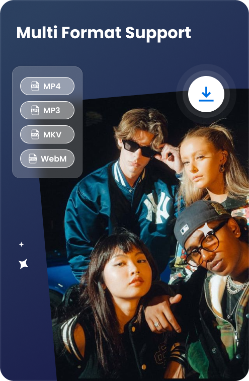 format: mp4, mp3, mkv, webm